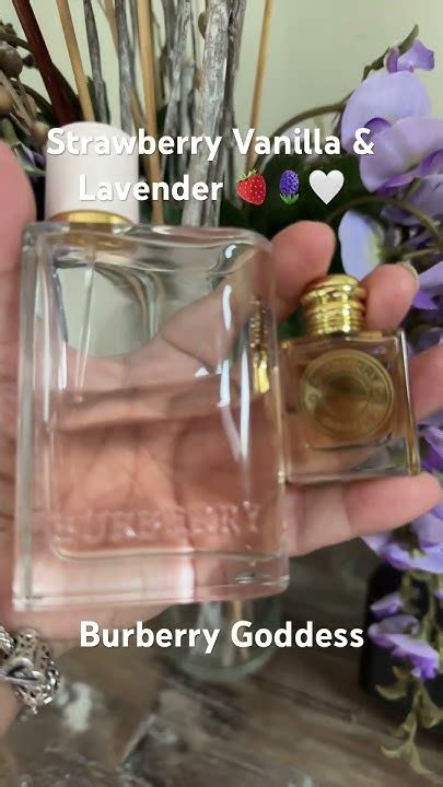 layering burberry her